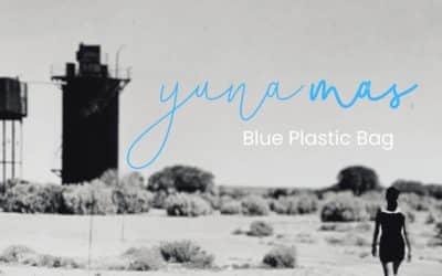 December – Blue Plastic Bag